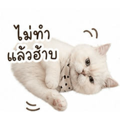 Muminn_20260501174118