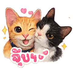 My cutie piess
