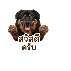 sararat_20260501174302