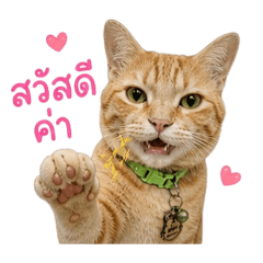Mydear_20260501174712