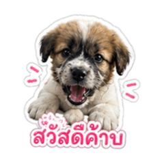 Tankun_20260501174538