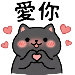 Fluffy Round Black Cat