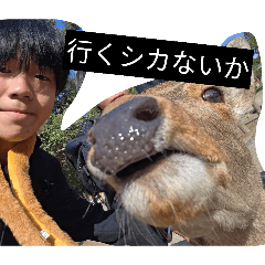 KTKTKT0807