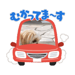 chacha_12345