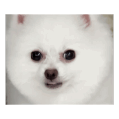 我的$$s
