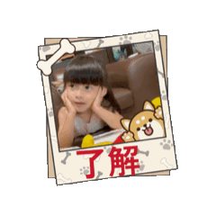 可愛的Gimbo