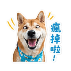 kumawangwang4
