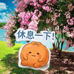 橘子佳佳