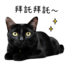 CAT black panther 1.0