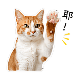 CAT Flower 1.0