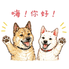 黑臉和妞妞（日常用語）