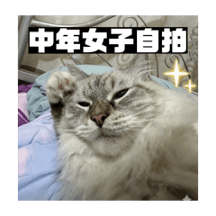 霜寶的貼圖世界 第三彈