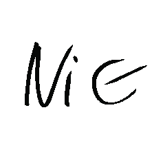 Best nice
