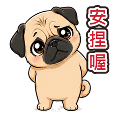 可愛巴哥的台式口頭禪：正港台灣味