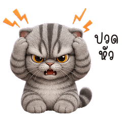 Gray Tabby Headache Cat Mood