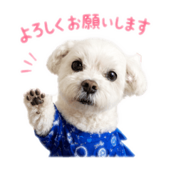 ren_20260608075330