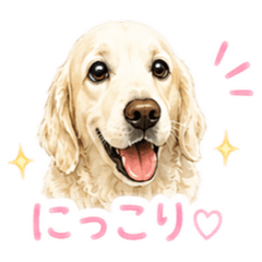 MASAHIKO YAMABE_20260608091210