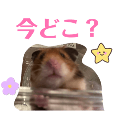 ka_20260608082756