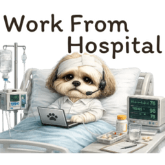 Bebe Work From Anywhere