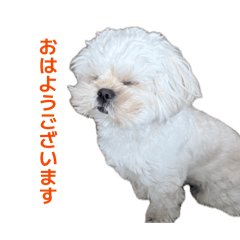 mino_20260608125444