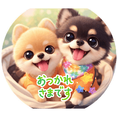 maruhatti_20260608131150