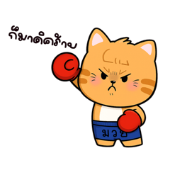 Nong Som Meow