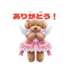 chacha_20260608130343