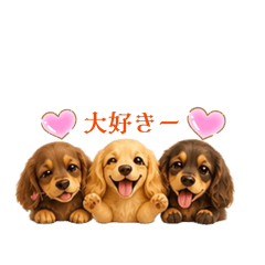 tonchan_20260608130349