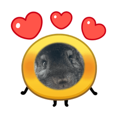 hanatyanVER2