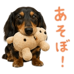 Dachshund bow waw