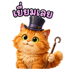 Fat orange cat's daily life