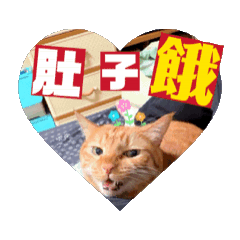 橘子阿福動作片