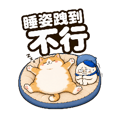 台味胖圓仔｜貓奴狗奴日常篇