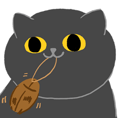 Kapao the cat