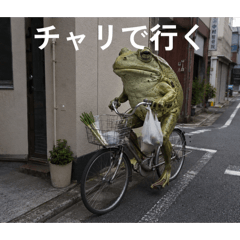 hurikakeTV_20260610073852