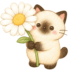 เหมียวชีสเค้ก <3 (ไม่มีข้อความ)