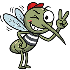Mosquitoes busy