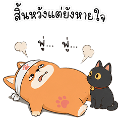 Rong Wongsawan: Witty Dog & Cat Quotes