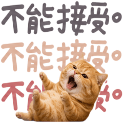 胖橘貓的迷因日常 爆笑對話 [ZiFu]