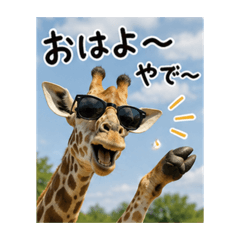 TK_20260608012759