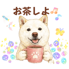 Shiroshiba Studio_20260608013724