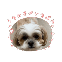 Coco_20260621143248
