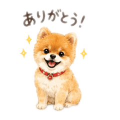 AZU_20260608084450