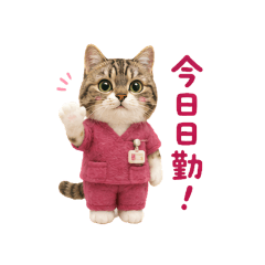 Nurse Kitty Daily Life Stickers
