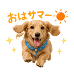 Happy-diary_20260608124233