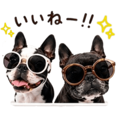 Mfour_20260610123649