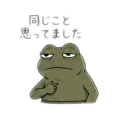 okamotomidori_20260610204018