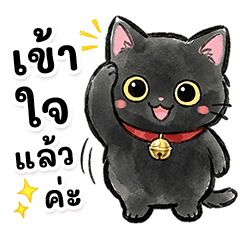 Polite Black Cat (Everyday Use)(thai)