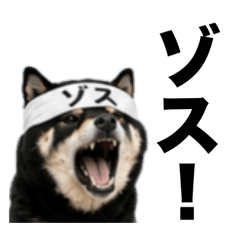 Mozuku_shibainu_20260611231309