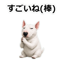 毒舌狗狗D030